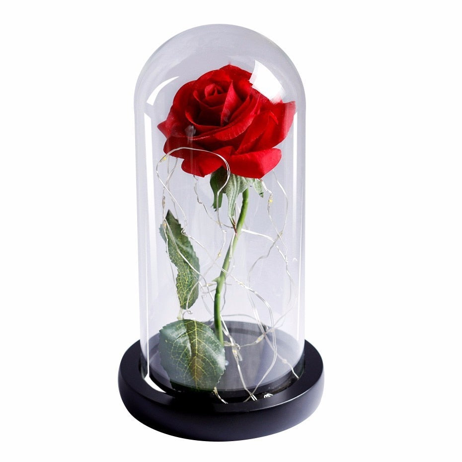 Beauty And Beast Rose In Flask Led Rose Flower Light Black Base Glass Dome Best For Mother's Day Valentines Day Gift