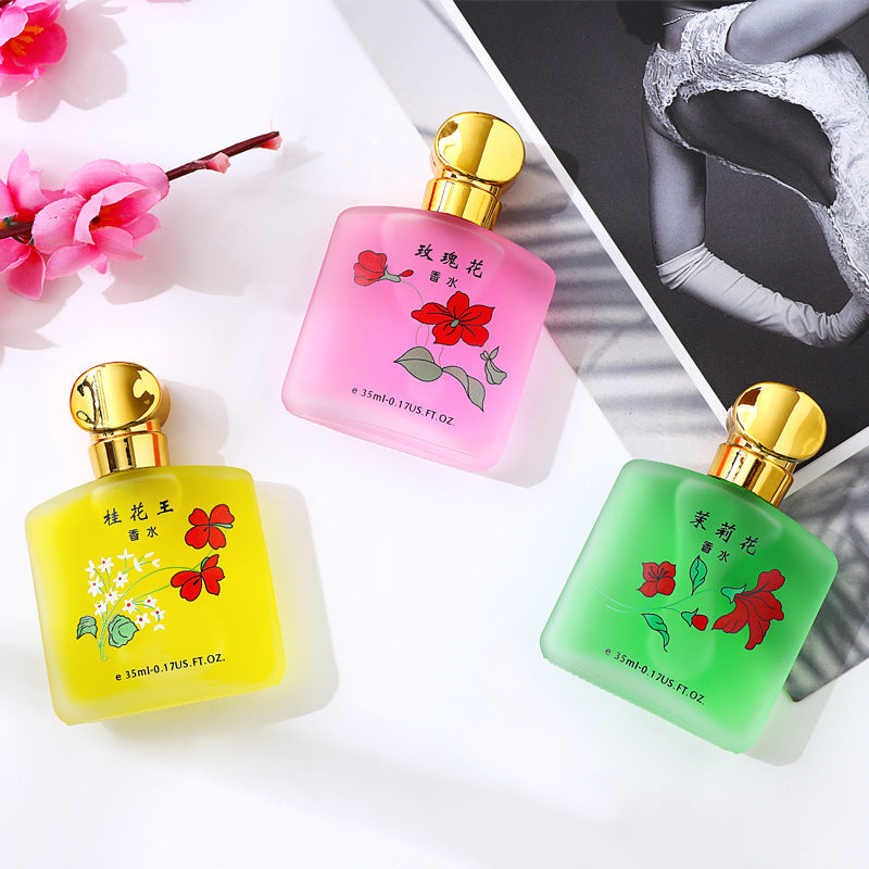 TikTok Explosions Osmanthus King Perfume Ladies Fresh Natural Lasting Light Fragrance Jasmine Fragrance Rose Perfume Wholesale