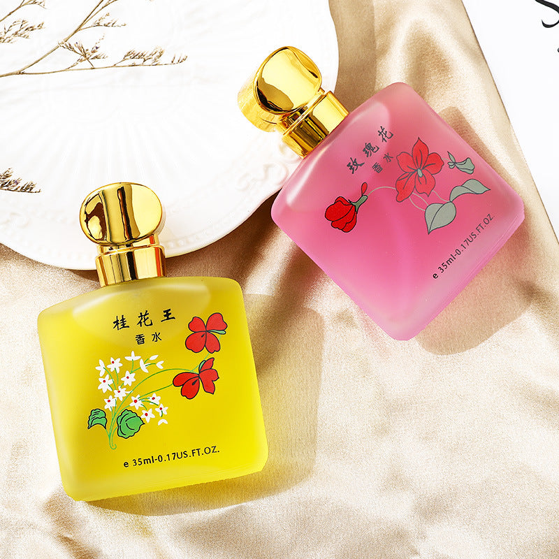 TikTok Explosions Osmanthus King Perfume Ladies Fresh Natural Lasting Light Fragrance Jasmine Fragrance Rose Perfume Wholesale