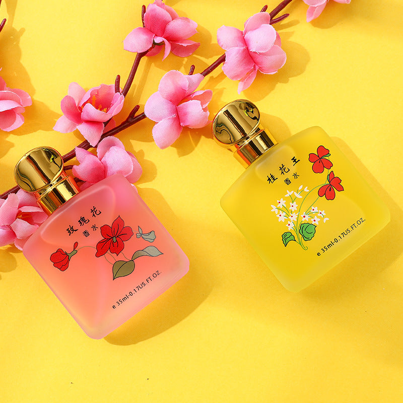 TikTok Explosions Osmanthus King Perfume Ladies Fresh Natural Lasting Light Fragrance Jasmine Fragrance Rose Perfume Wholesale